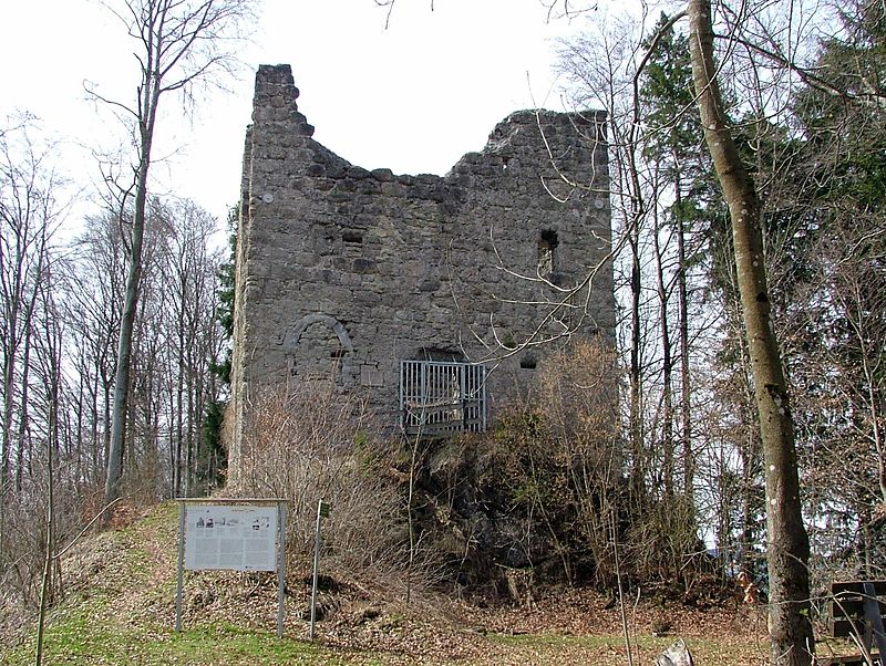 files/tl_filesOPO/Beitraege/Burg Langenegg.jpg